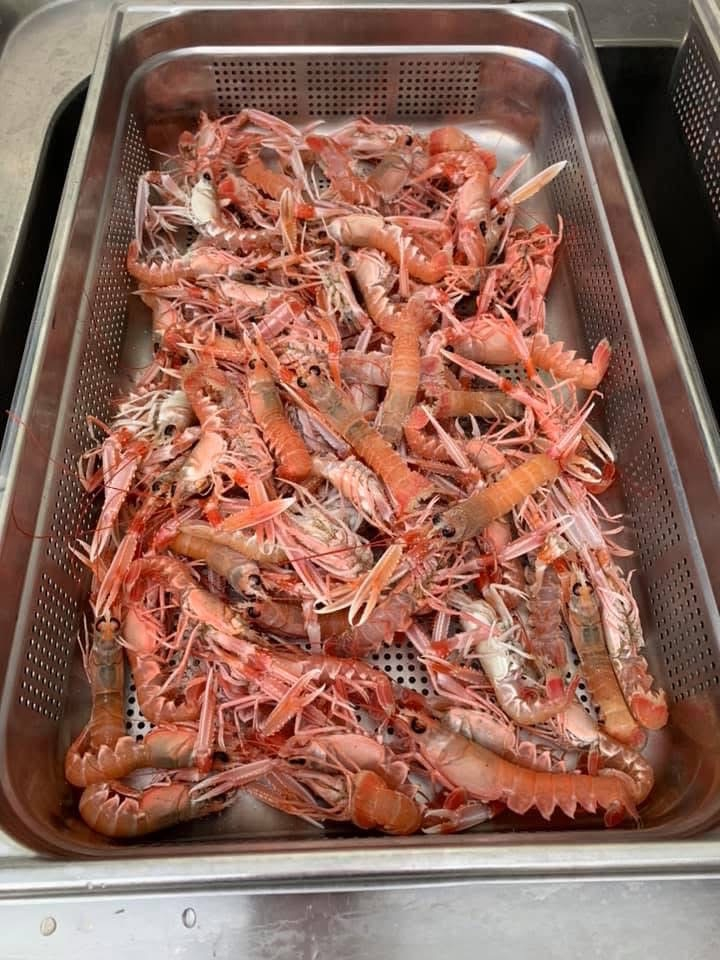 Langoustines